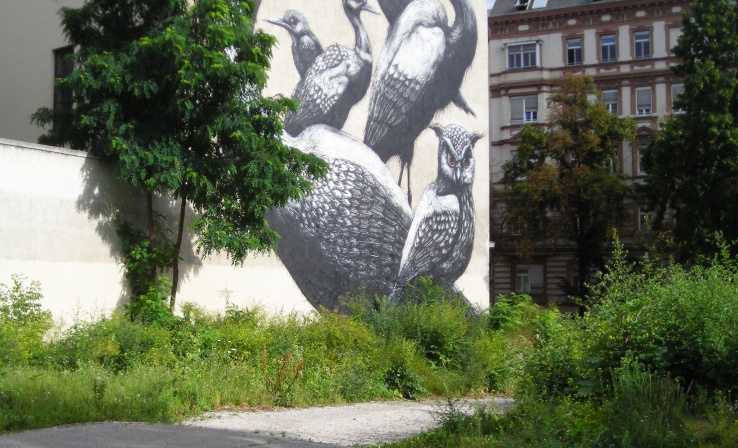 Matejka Felden Street Art