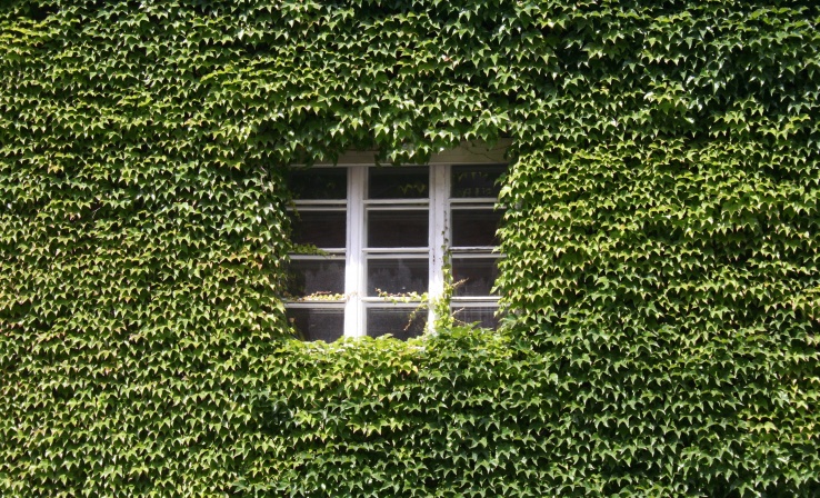 Paulinengasse11